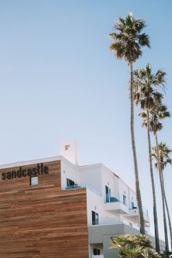 A modern white building with wooden panel accents labeled &ldquo;sandcastle,&rdquo; tall palm trees, and a clear blue sky, sunny coastal vibe.